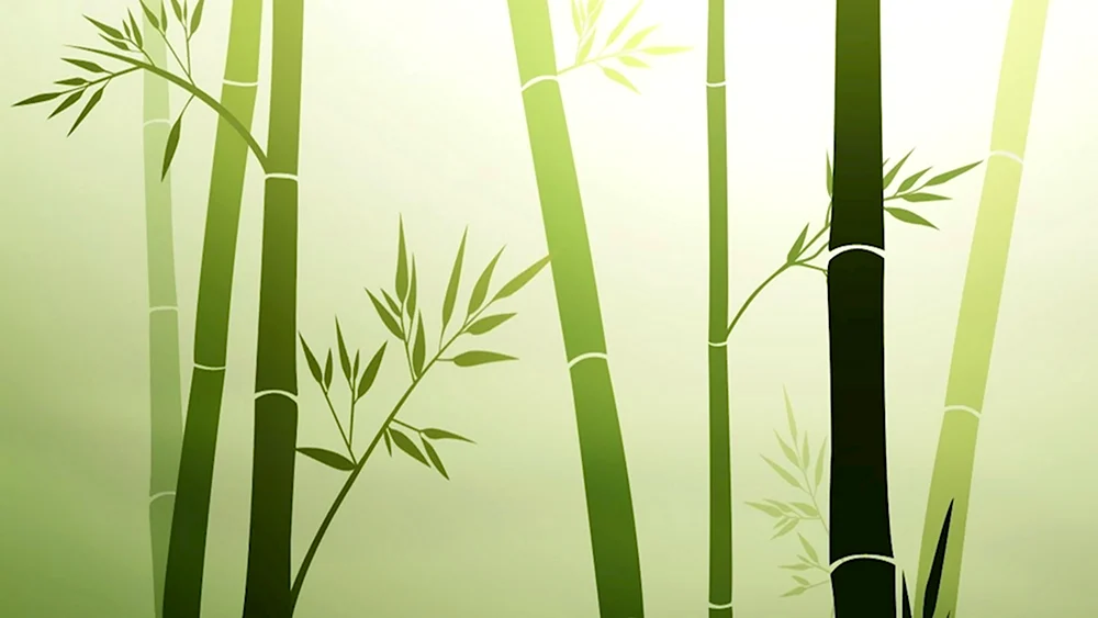 Зеленый бамбук на черном фоне