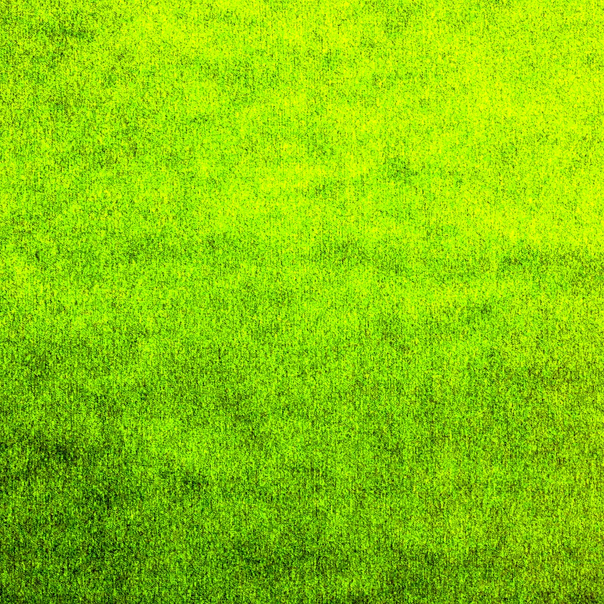 Зеленый велюр