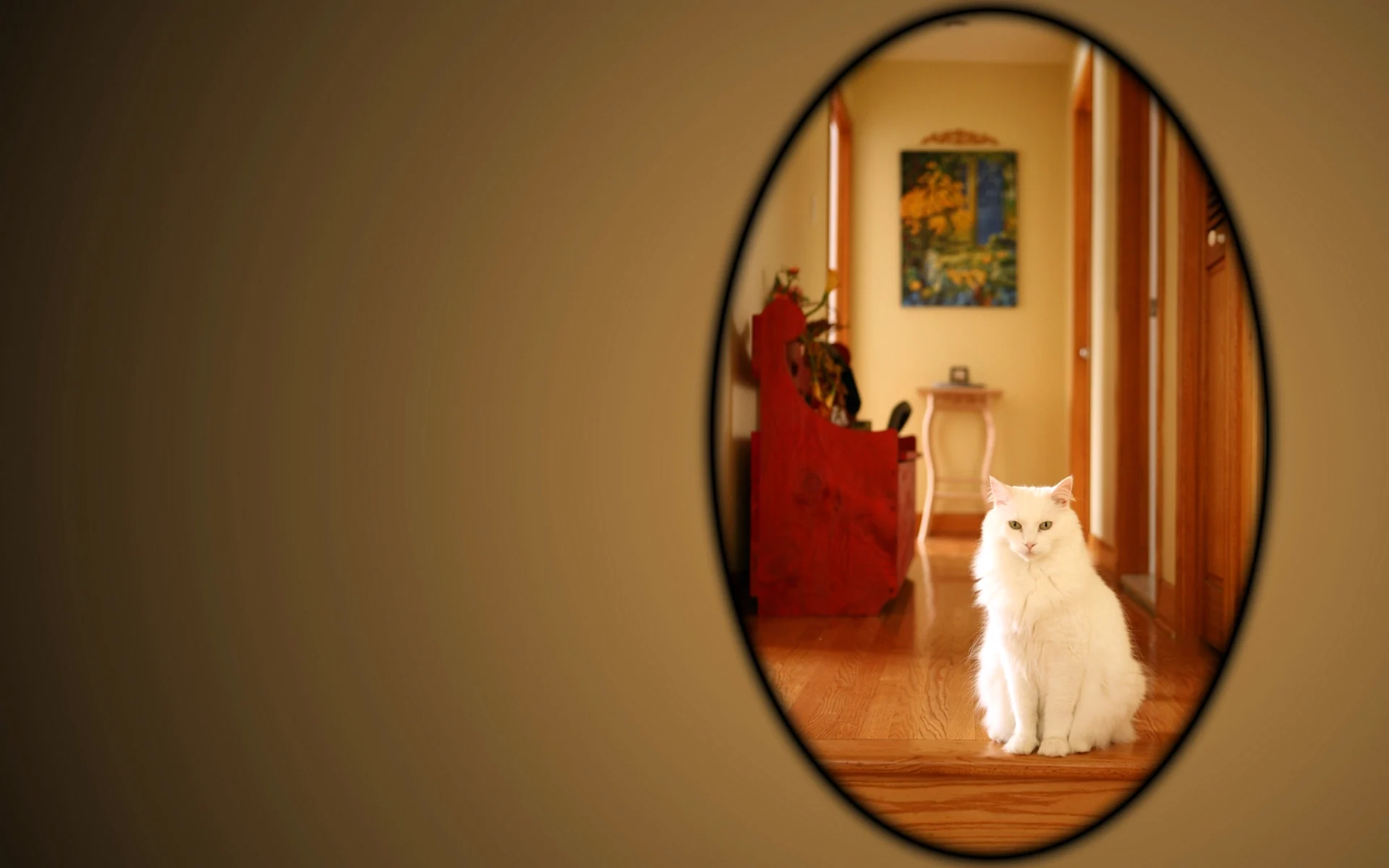Зеркало котик