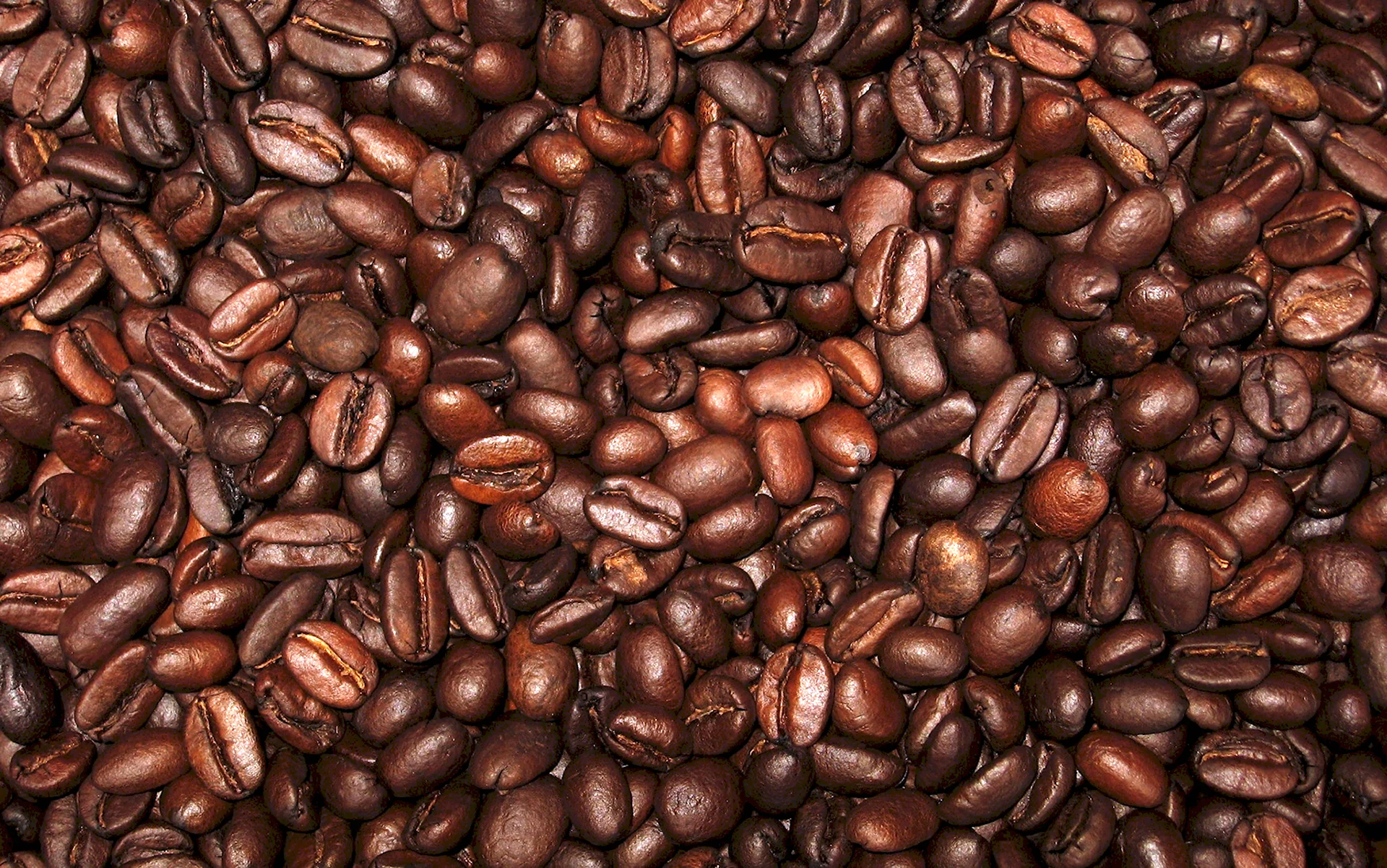 Зерна кофе вектор