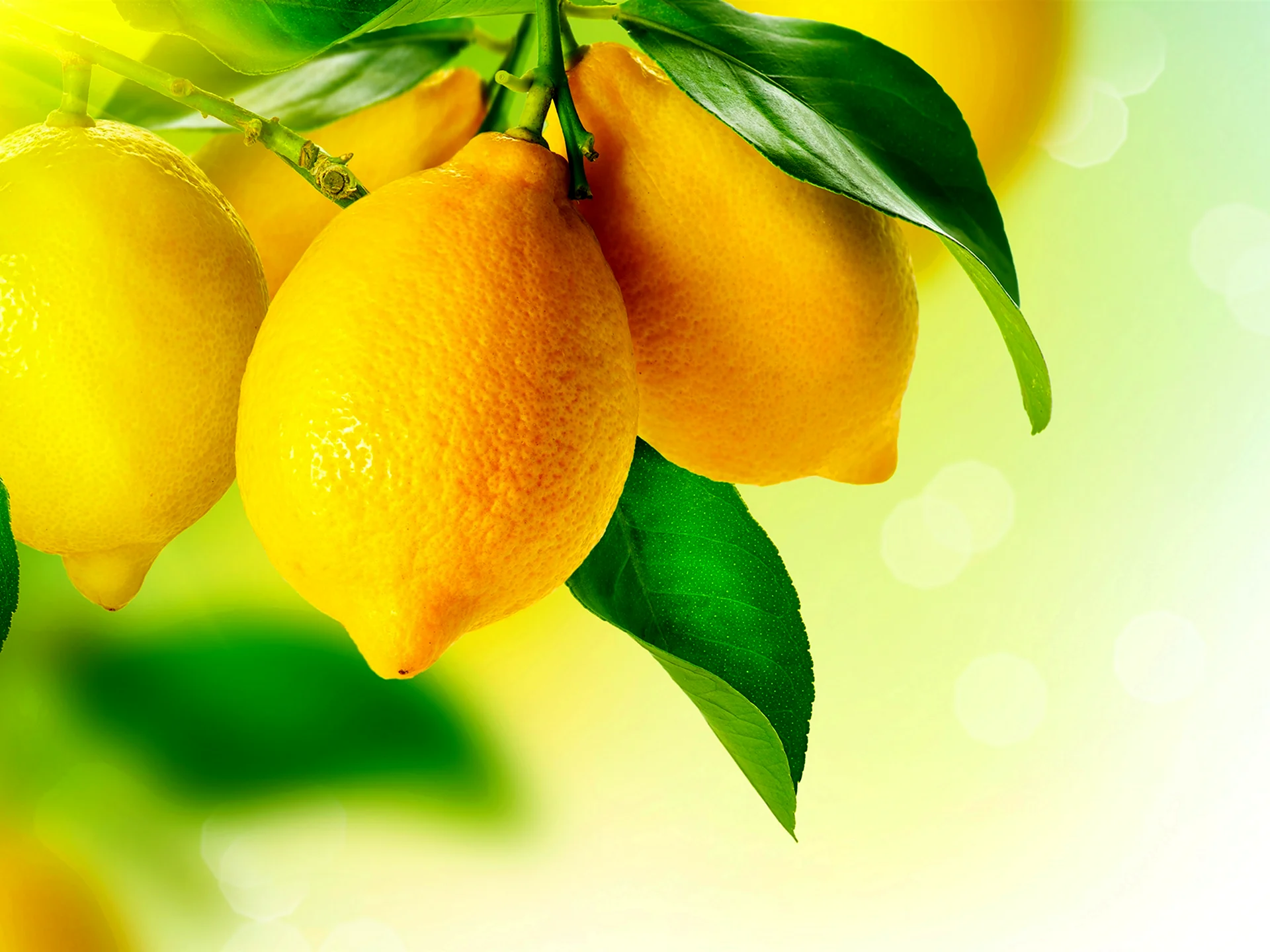 Желтый лимон