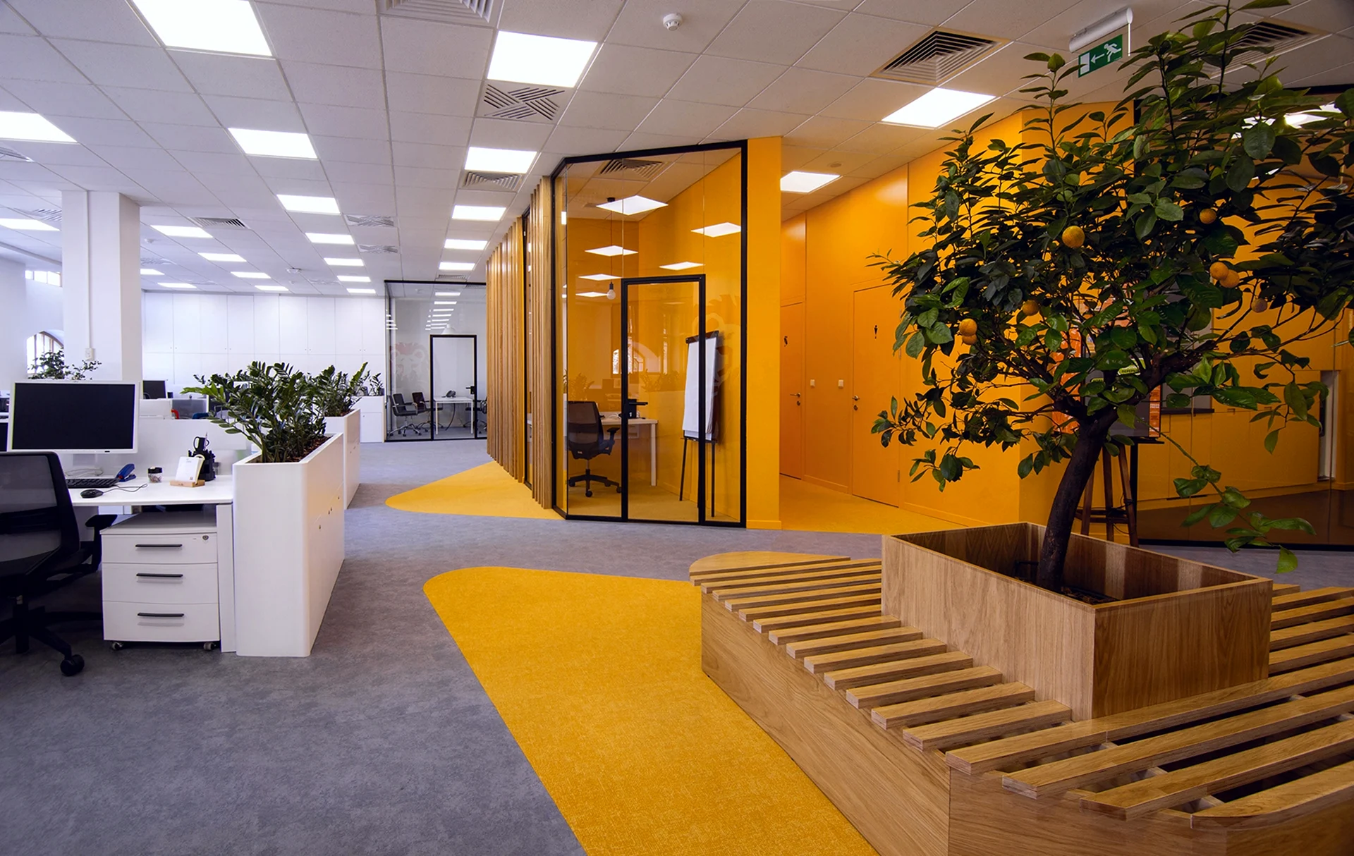 Желтый офис