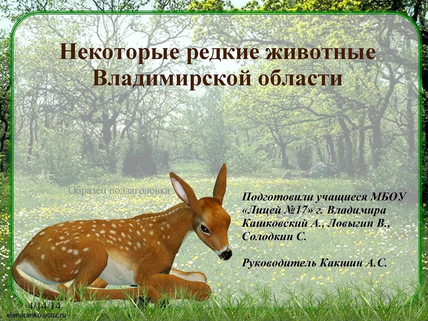 Животные красной книги Владимирской области