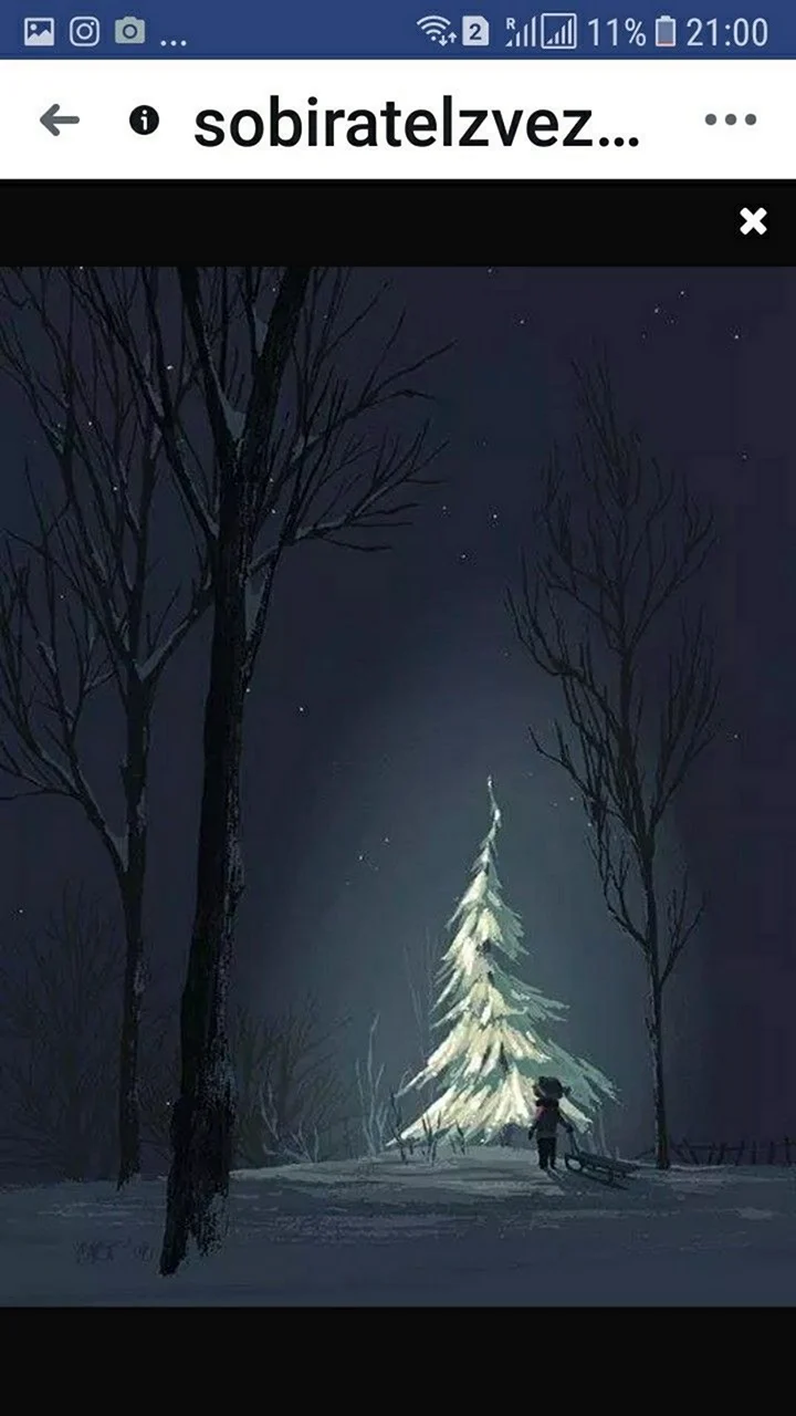 Зимний лес ночью арт