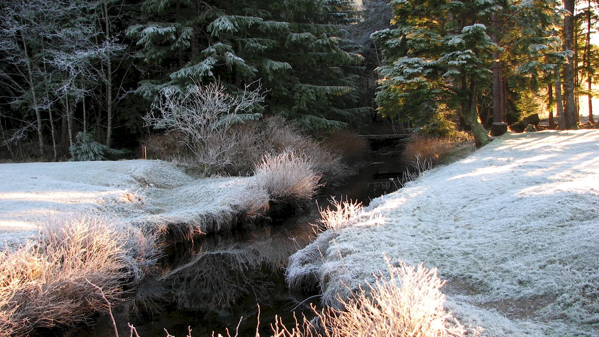 Зимний ручей в лесу