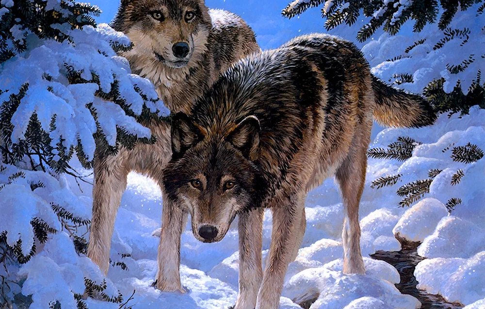 Зимний волк
