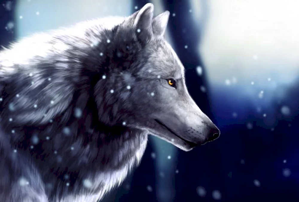 Зимний волк арт