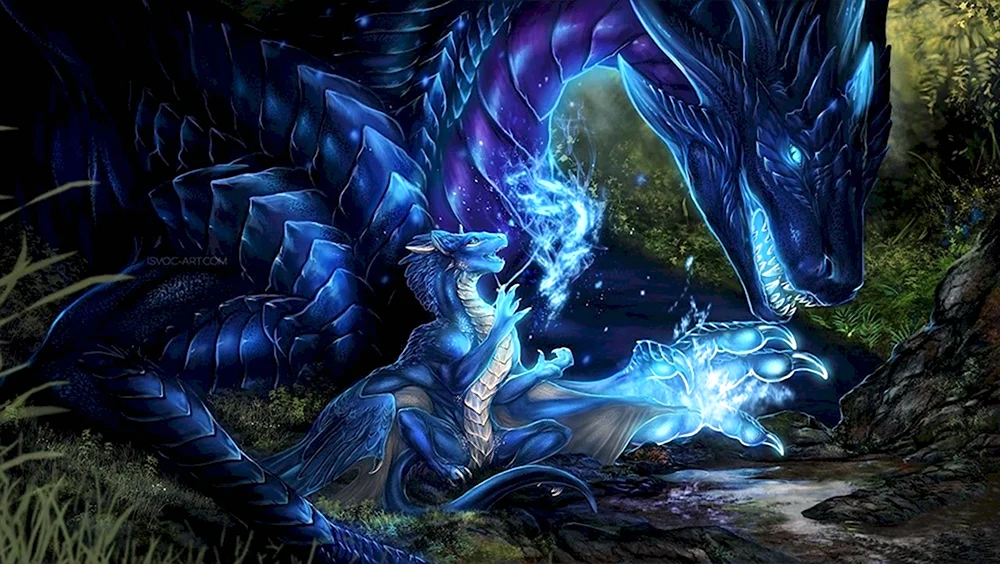 Зирнитра дракон