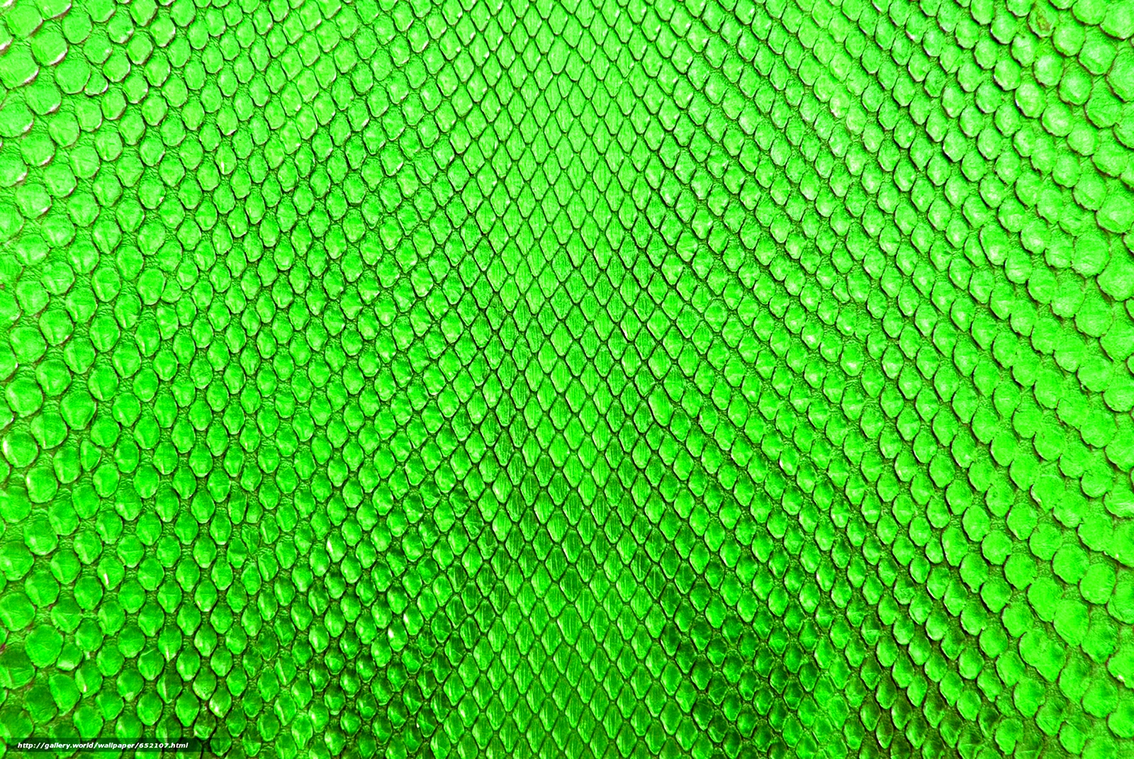 Змеиная кожа зеленая