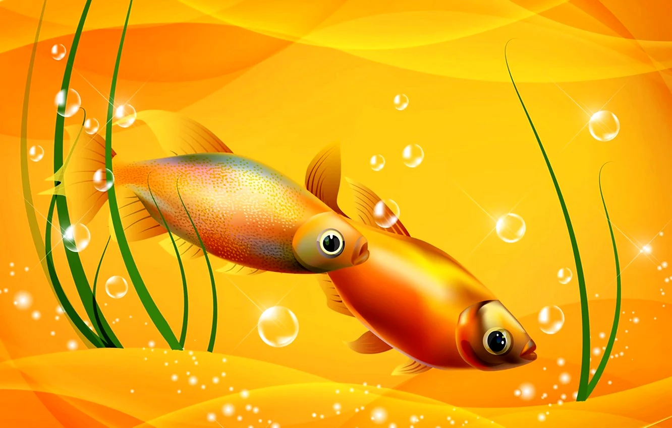 Золотая рыбка обои