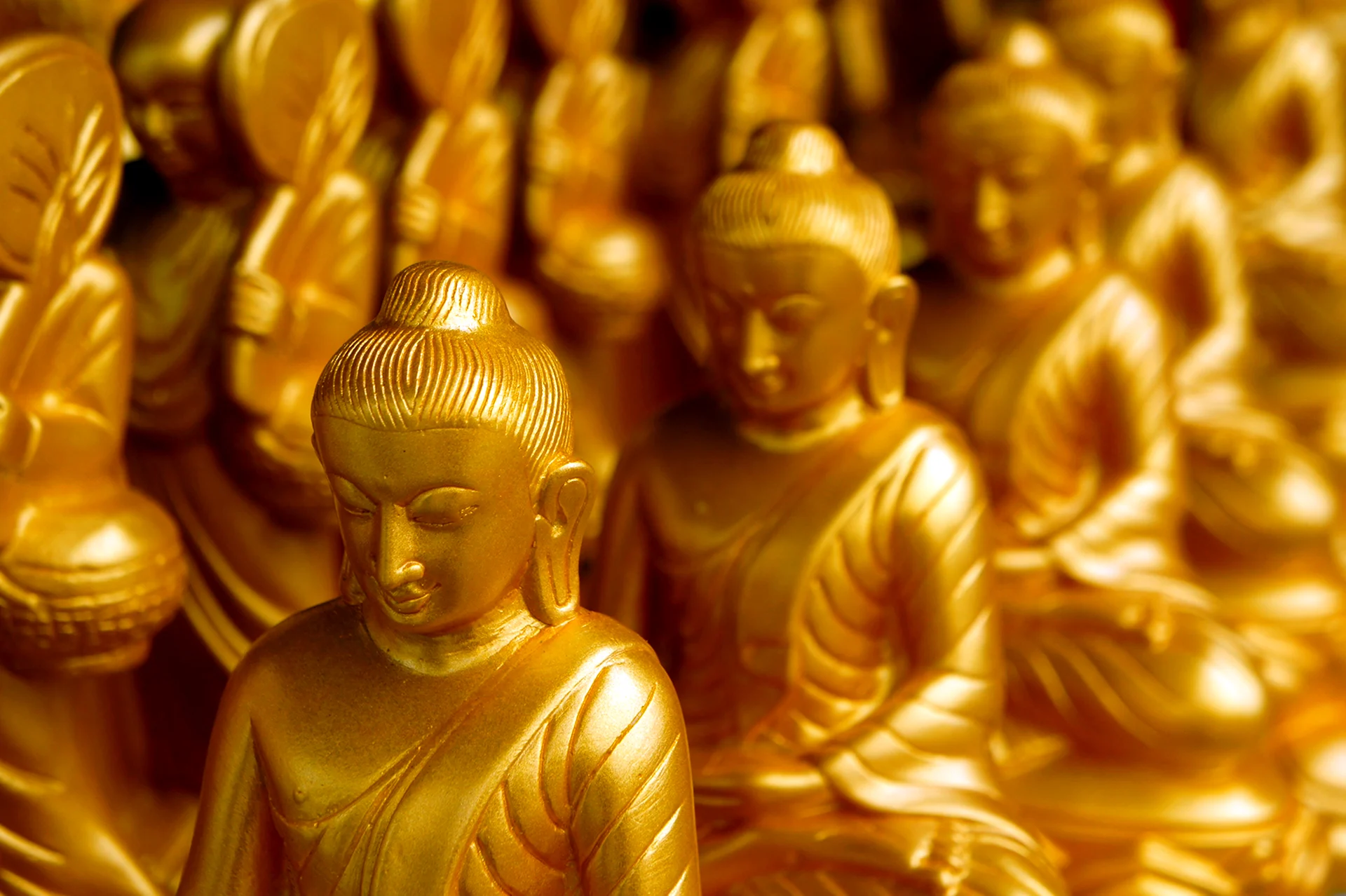 Золотые шахматы Будды 2010