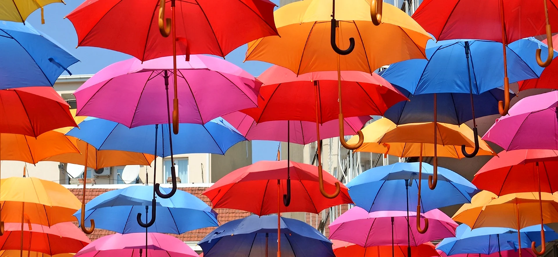 Зонтики разных цветов