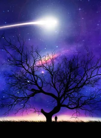Звездное дерево